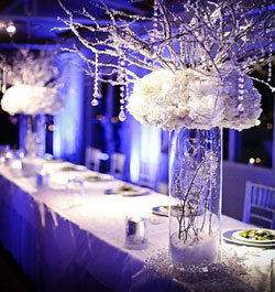 Зимняя свадьба – оформление зала ❄️ в тренде [] с фото